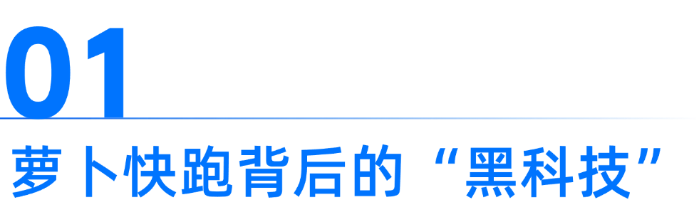萝卜小标题1.png